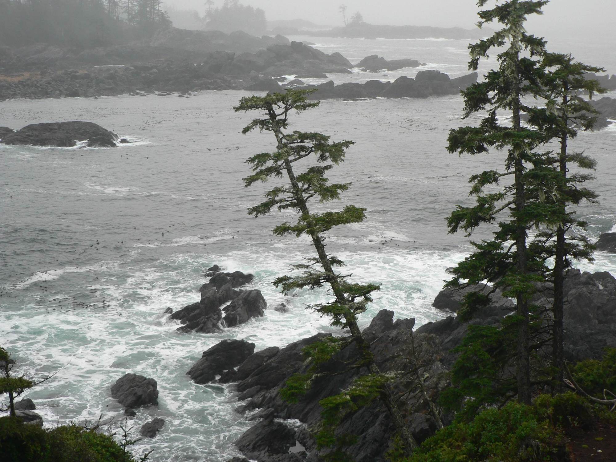 Black Rock Oceanfront Resort Ucluelet Kültér fotó